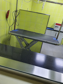 European Veterinary Clinic thumb 4
